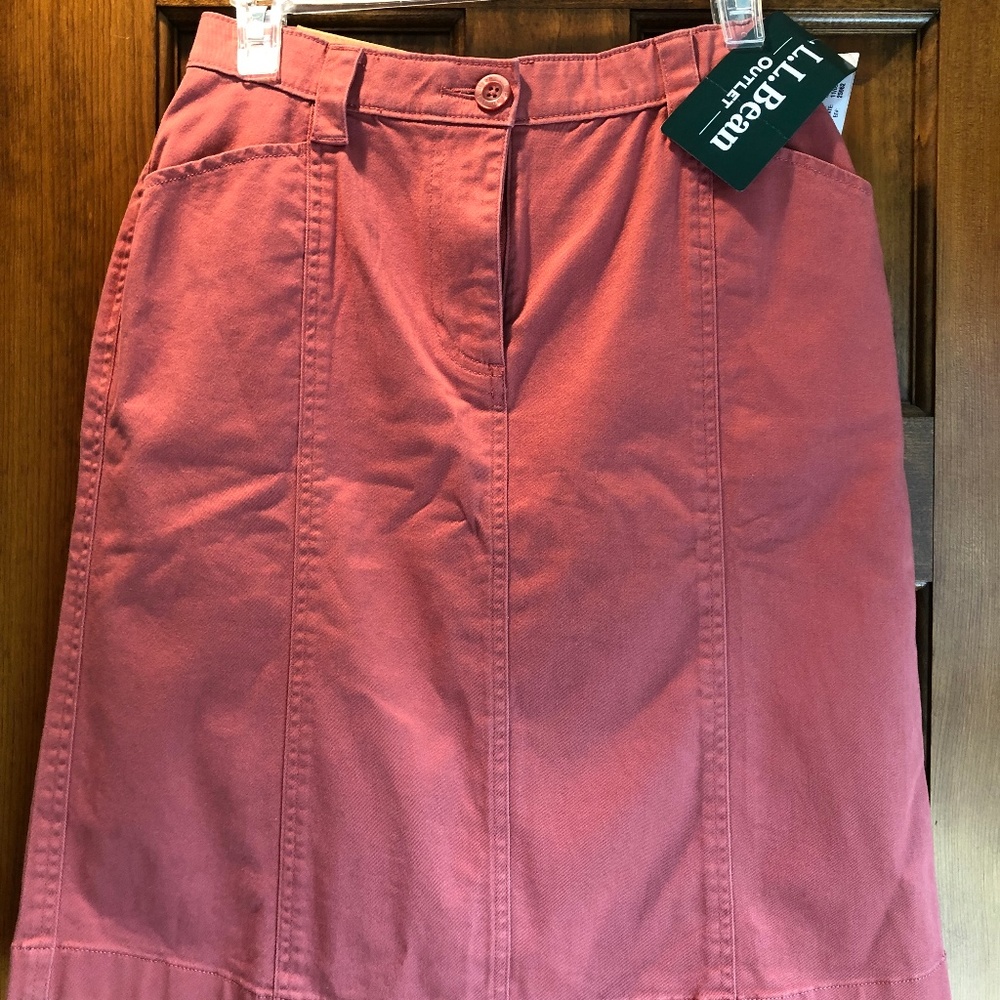 Skirt - NWT